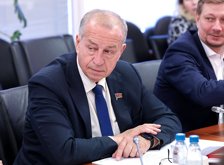 Первый заместитель Председателя Комитета по энергетике Сергей Левченко