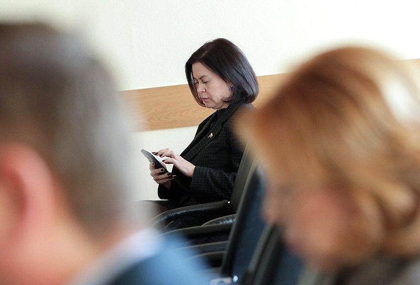 Член Комитета по промышленности и торговле Мария Василькова