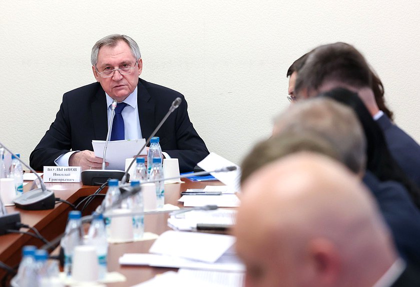 Председатель Комитета по энергетике Николай Шульгинов