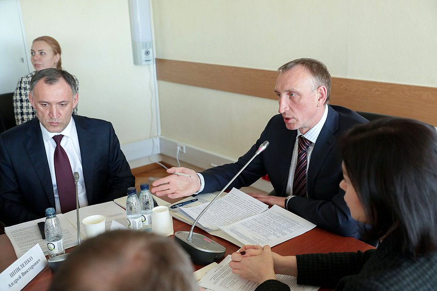 Первый заместитель Председателя Комитета по промышленности и торговле Александр Козловский