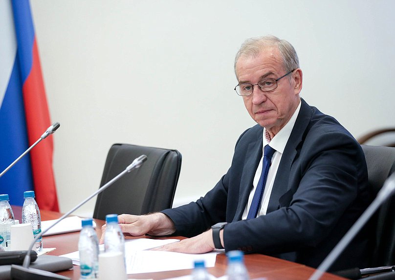 Первый заместитель Председателя Комитета по энергетике Сергей Левченко