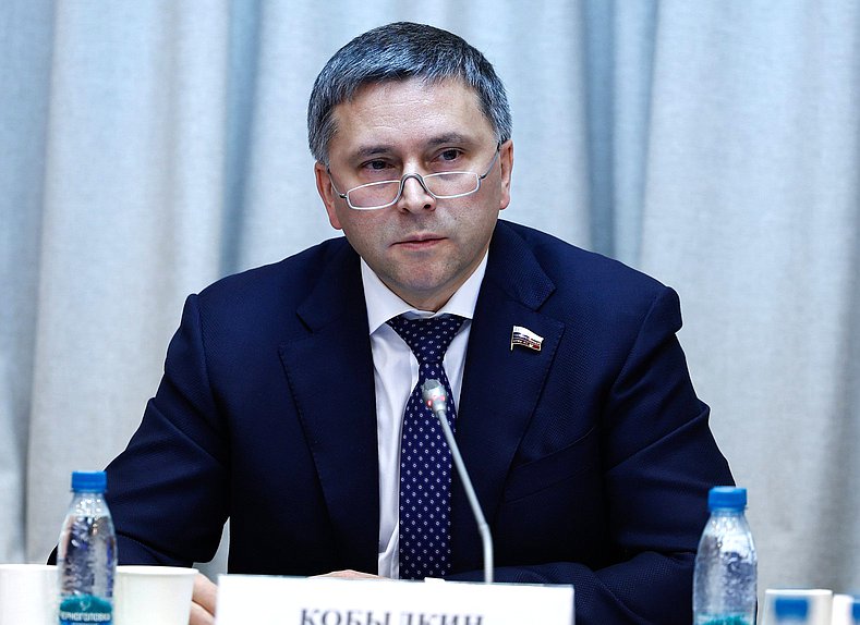 Председатель Комитета по экологии, природным ресурсам и охране окружающей среды Дмитрий Кобылкин