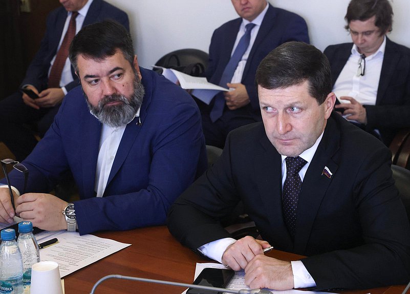 Члены Комитета по энергетике Роман Птицын и Борис Гладких