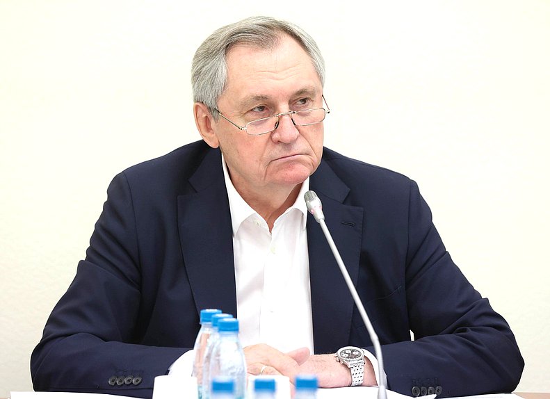 Председатель Комитета по энергетике Николай Шульгинов