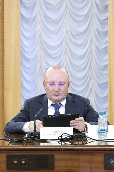 Заместитель Министра здравоохранения РФ Евгений Камкин