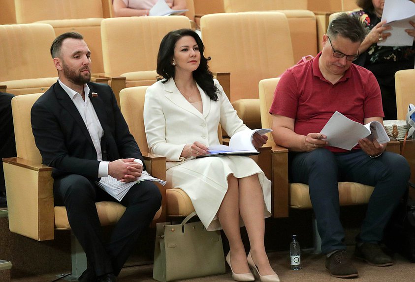 Заседание экспертного совета Комитета по вопросам семьи, женщин и детей