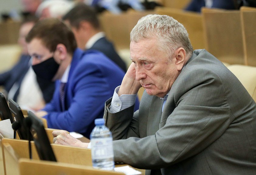Руководитель фракции ЛДПР Владимир Жириновский