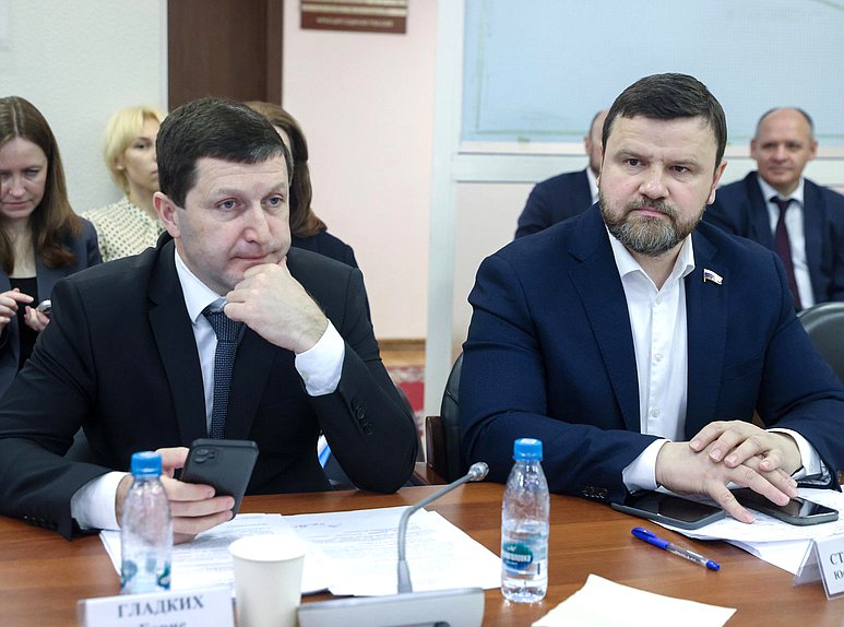 Члены Комитета по энергетике Борис Гладких и Юрий Станкевич