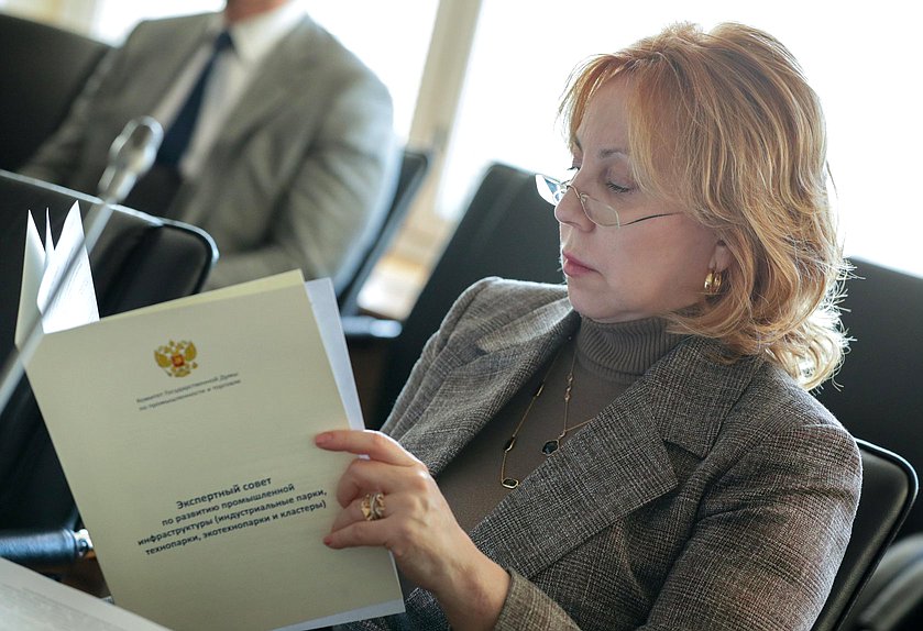 Заседание экспертного совета по развитию промышленной инфраструктуры (индустриальные парки, технопарки, экотехнопарки и кластеры) при Комитете по промышленности и торговле
