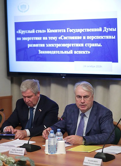 Первый заместитель Председателя Комитета по энергетике Сергей Есяков и Председатель Комитета Павел Завальный