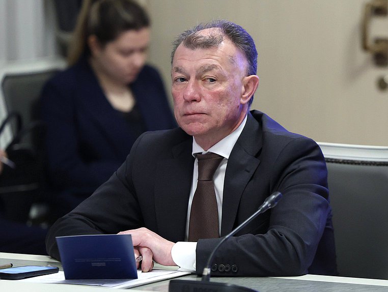 Председатель Комитета по экономической политике Максим Топилин