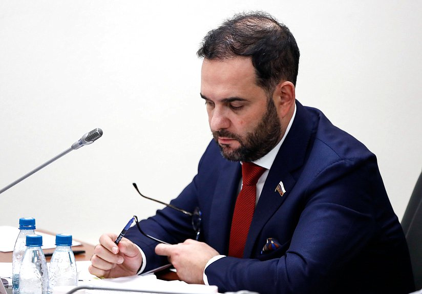 Первый заместитель Председателя Комитета по науке и высшему образованию Александр Мажуга