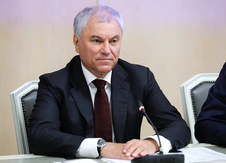 Председатель Государственной Думы Вячеслав Володин