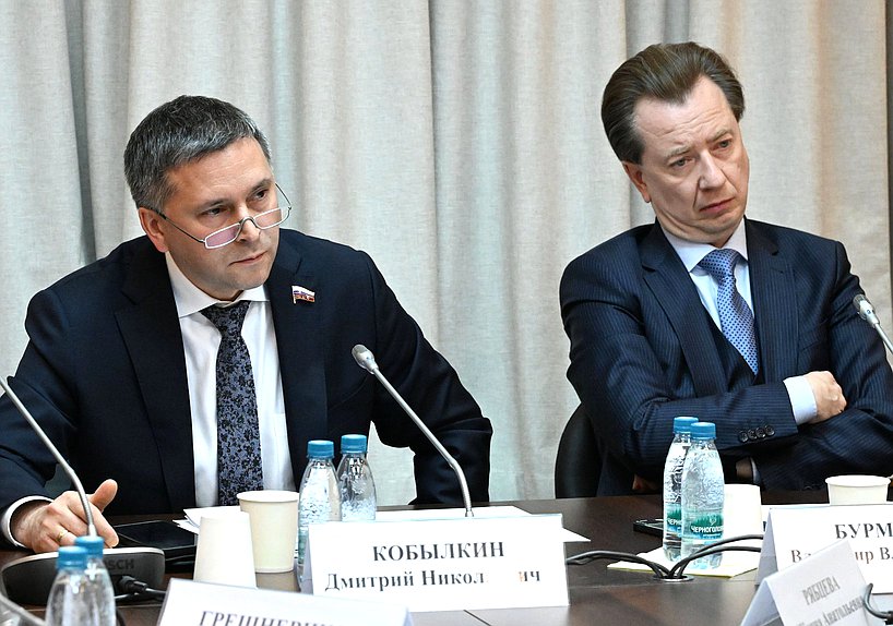 Председатель Комитета по экологии, природным ресурсам и охране окружающей среды Дмитрий Кобылкин и Первый заместитель Председателя Комитета Владимир Бурматов