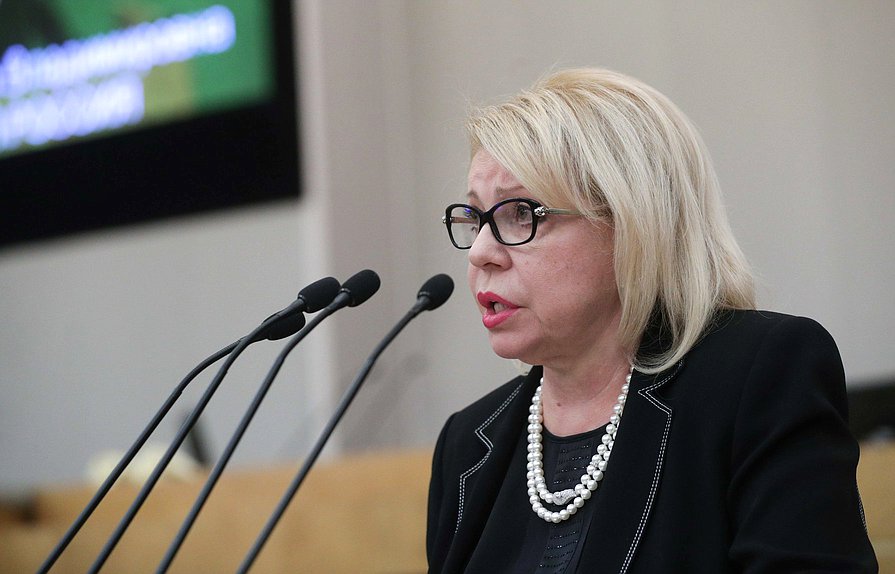 Член Комитета по международным делам Елена Панина