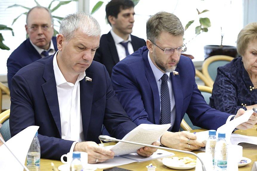 Члены Комитета по развитию Дальнего Востока и Арктики Михаил Кисляков и Дмитрий Погорелый