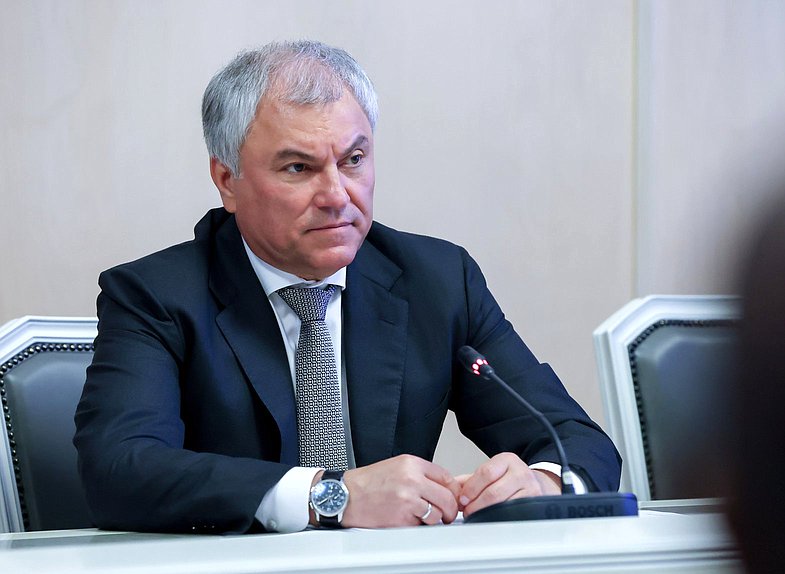 Председатель Государственной Думы Вячеслав Володин