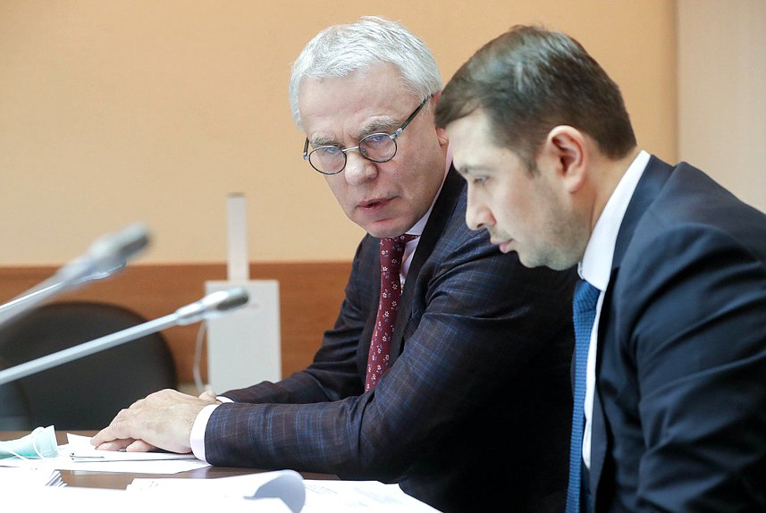 Первый заместитель Председателя Комитета по экологии, природным ресурсам и охране окружающей среды Вячеслав Фетисов и заместитель Министра экономического развития РФ Илья Торосов