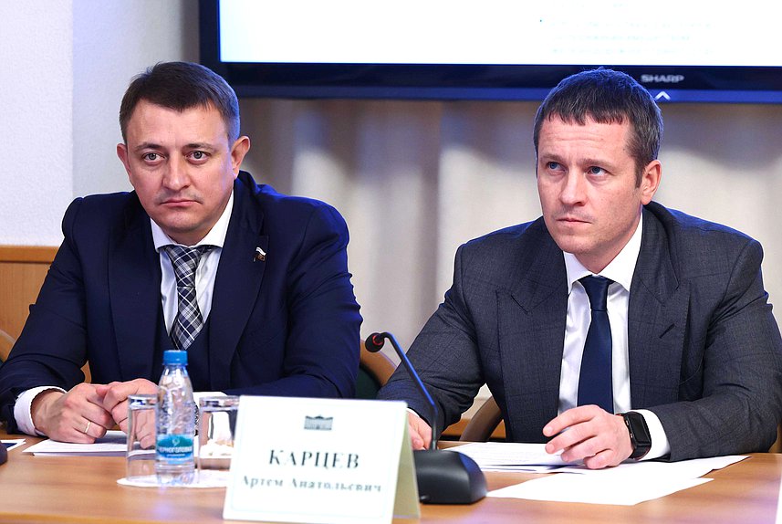 Члены Комитета по вопросам собственности, земельным и имущественным отношениям Андрей Гимбатов и Артем Карцев