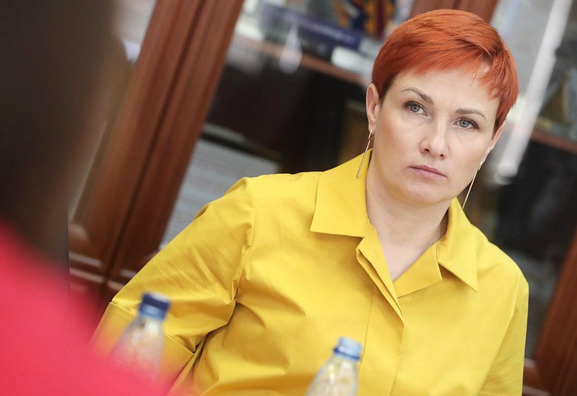 Круглый стол Комитета по молодежной политике на тему «Законодательное закрепление возможности передачи детей, фактически оставшихся без попечения родителей, под предварительную и временную опеку (попечительство)»