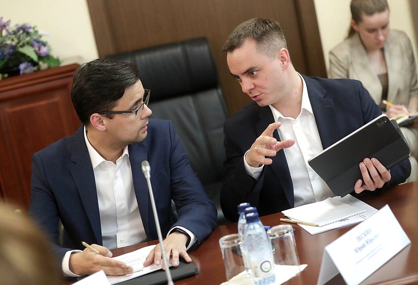 Заседание рабочей группы по вопросу внесения изменений в Федеральный закон «О молодежной политике в РФ»