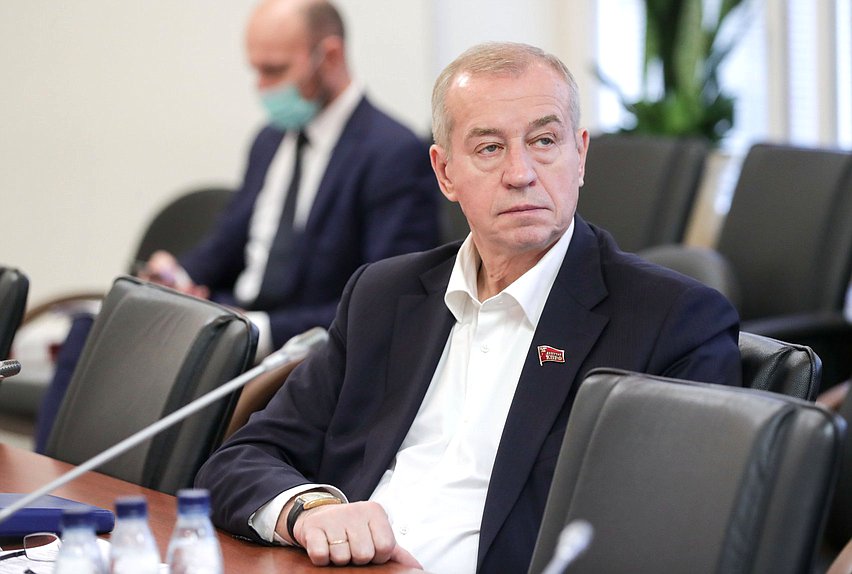 Первый заместитель Председателя Комитета по энергетике Сергей Левченко