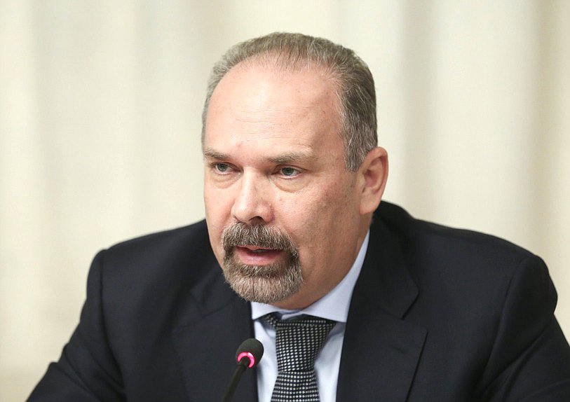 Аудитор Счетной палаты Михаил Мень