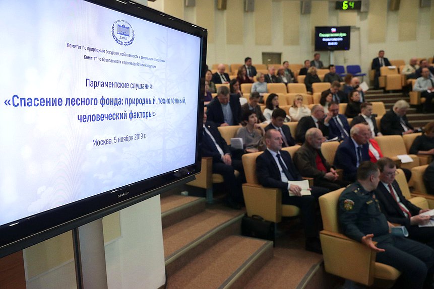 Парламентские слушания на тему «Спасение лесного фонда: природный, техногенный, человеческий факторы»