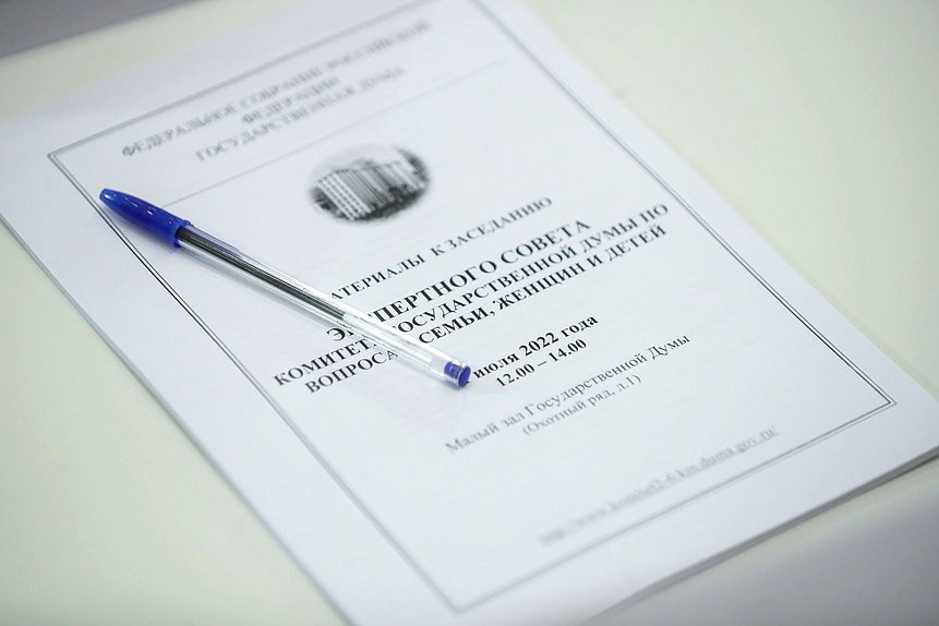 Заседание экспертного совета Комитета по вопросам семьи, женщин и детей