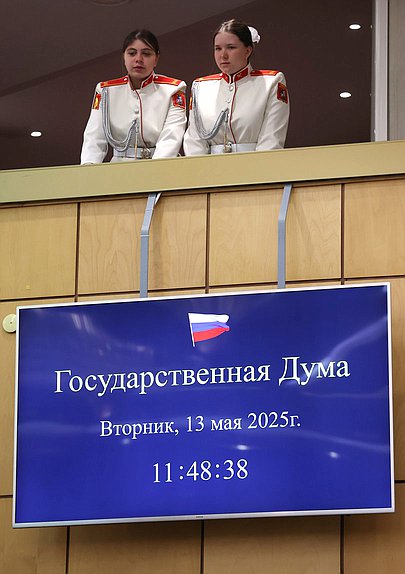 Пленарное заседание (13.05.2025)