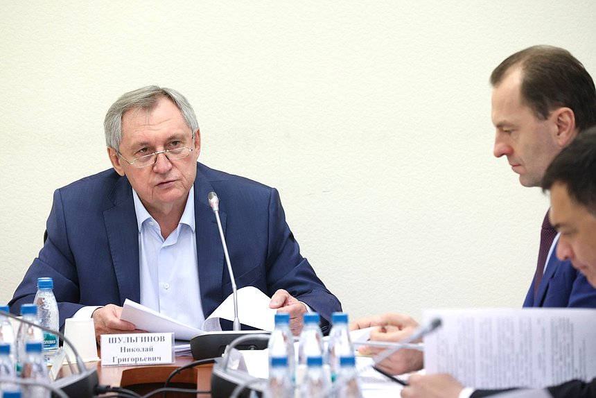Председатель Комитета по энергетике Николай Шульгинов