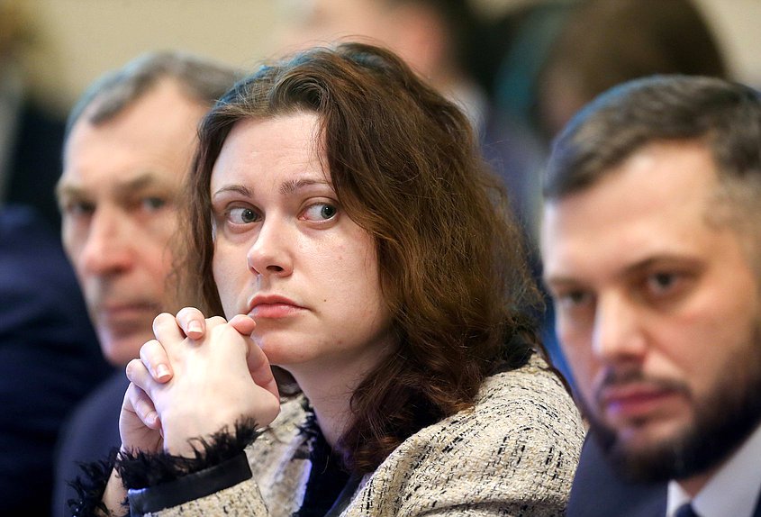 Круглый стол Комитета по энергетике на тему «Законодательное обеспечение расширения использования газомоторного топлива, в том числе в виде сжиженного природного газа»