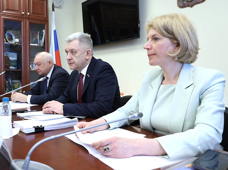 Первый заместитель Председателя Комитета Ильдар Гильмутдинов, Председатель Комитета Владимир Иванов и аудитор Счетной палаты РФ Наталья Трунова