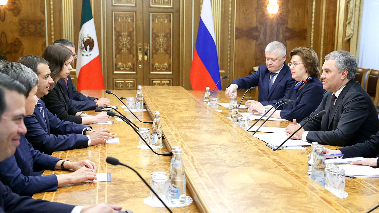 Meeting of Chairman of the State Duma Viacheslav Volodin with President of Chamber of Senators of the General Congress of the United Mexican States Ernesto Cordero Arroyo