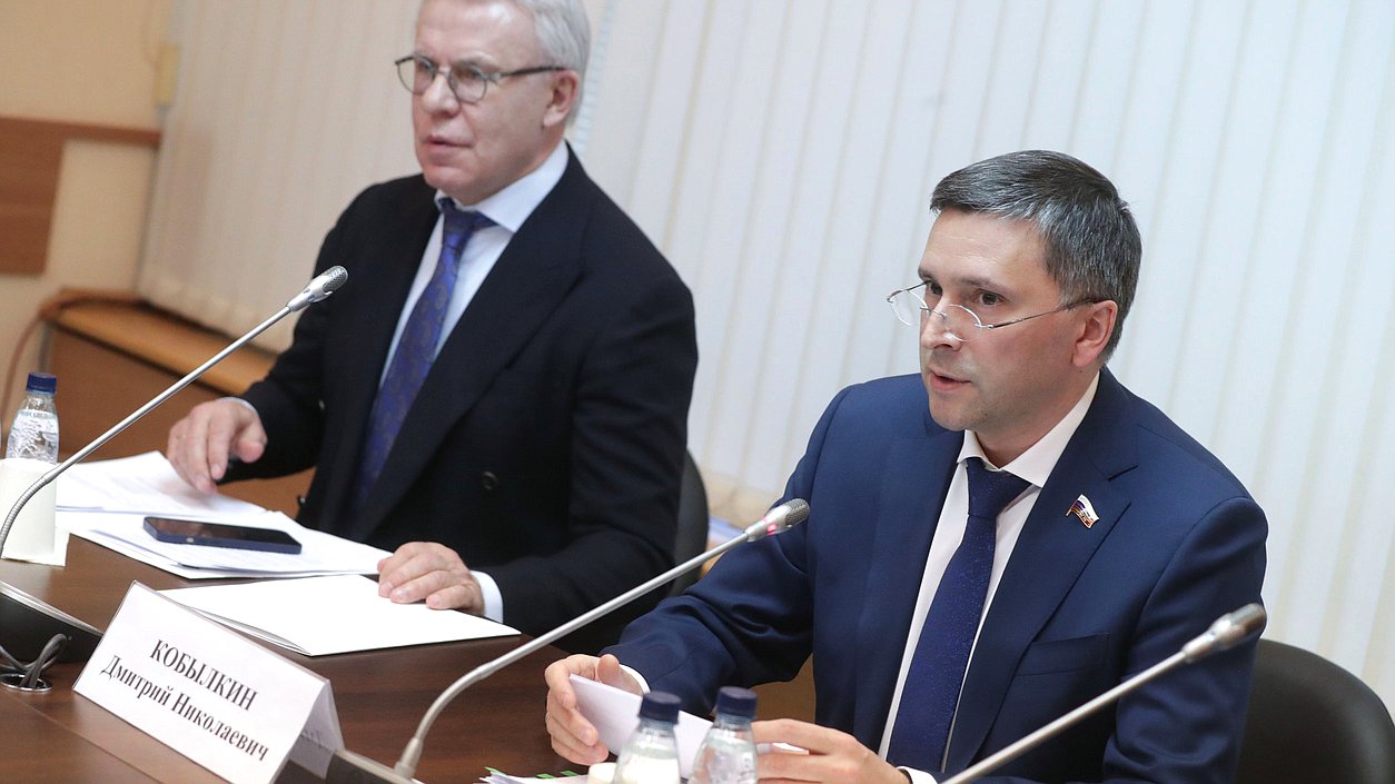 Председатель Комитета по экологии, природным ресурсам и охране окружающей среды Дмитрий Кобылкин и Первый заместитель Председателя Комитета Вячеслав Фетисов