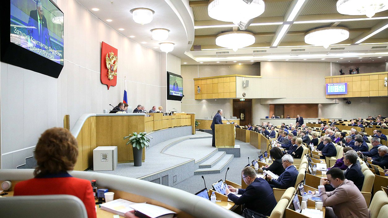 Пленарное заседание Затулин