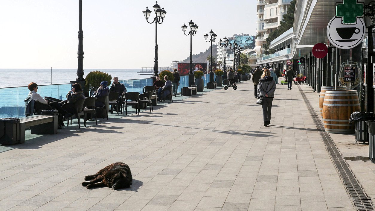 Ялта, набережная. отдых, Крым, туристы, собака