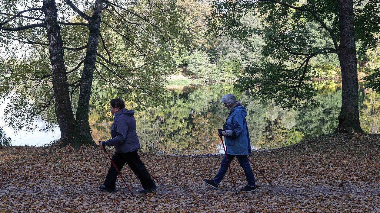 парк скандинавская ходьба спорт пенсионер осень