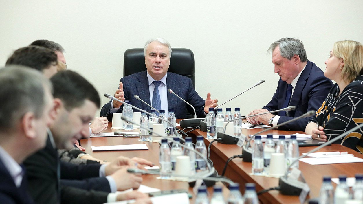 Заседание Комитета по энергетике с участием Министра энергетики РФ Николая Шульгинова