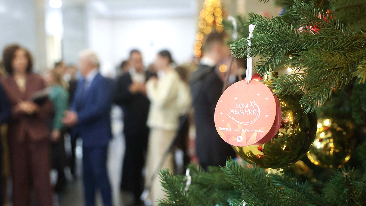 Всероссийская новогодняя акция «Елка желаний — 2025»