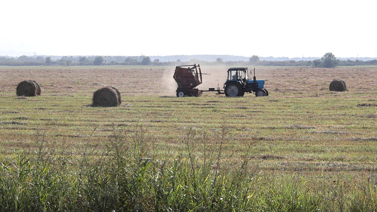 поле осень уборка сено трактор