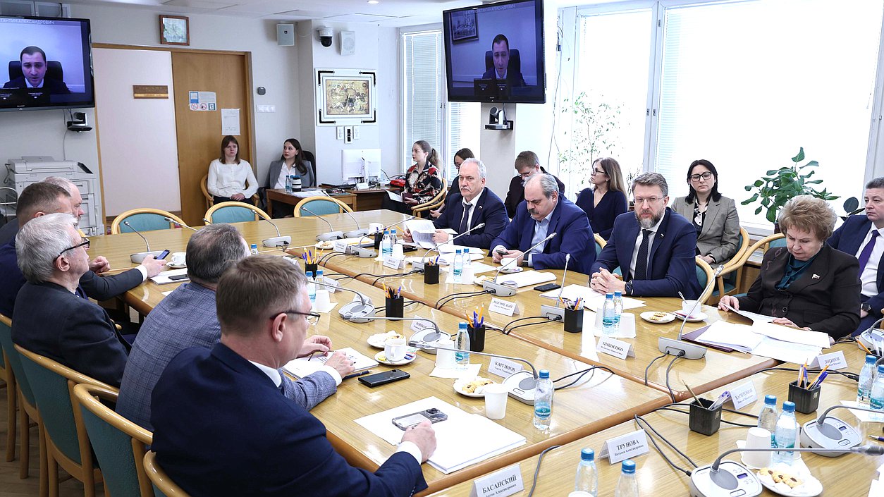 Заседание Комитета по развитию Дальнего Востока и Арктики