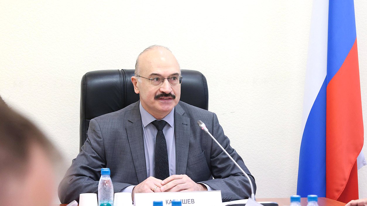Председатель Комитета по науке и высшему образованию Сергей Кабышев
