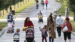 сайт семья дети коляска прогулка парк мама материнство