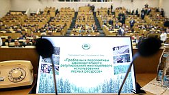 Парламентские слушания на тему «Проблемы и перспективы законодательного регулирования многоцелевого использования лесных ресурсов»