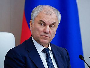 Председатель Государственной Думы Вячеслав Володин