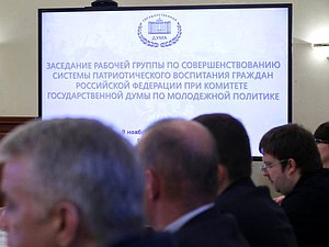 Заседание рабочей группы по совершенствованию системы патриотического воспитания граждан России при Комитете по молодежной политике