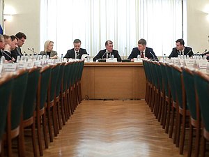 Заседание Комитета по экономической политике с участием Министра экономического развития РФ Максима Решетникова