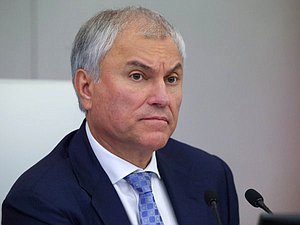 Председатель Государственной Думы Вячеслав Володин