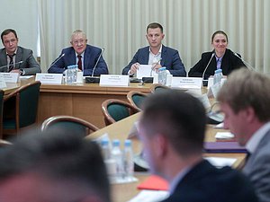 Совместное заседание Комитетов по молодежной политике и по контролю с участием руководителя Федерального агентства по делам молодежи Ксении Разуваевой
